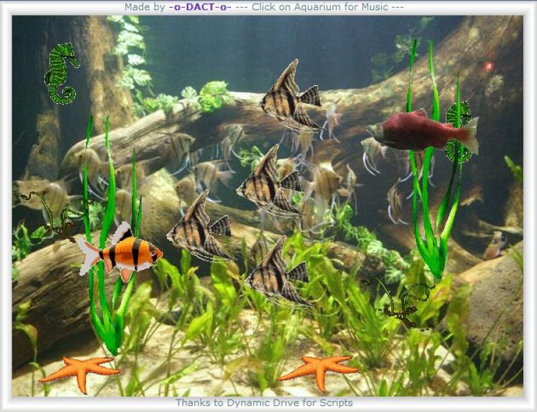 Aquatic Animations