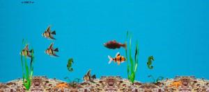 Aquatic Animations